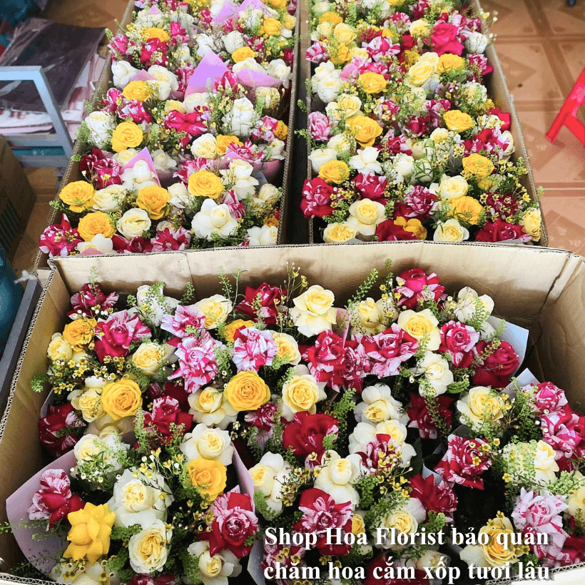 Thuốc Dưỡng Hoa Long Life Dạng Bột Hộp 1KG