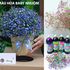 Imported Baby’s flower Dye from Israel – Safe, Long-Lasting, Naturally Beautiful Colors