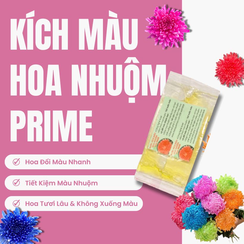Thuốc Nước Kích Màu Bột Nhuộm Hoa Tươi Prime
