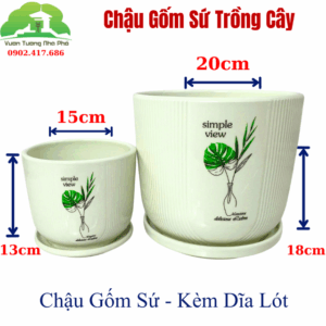 Chậu Cây Để Bàn Văn Phòng - Sứ Trắng 15cm (Chưa Kèm Cây).