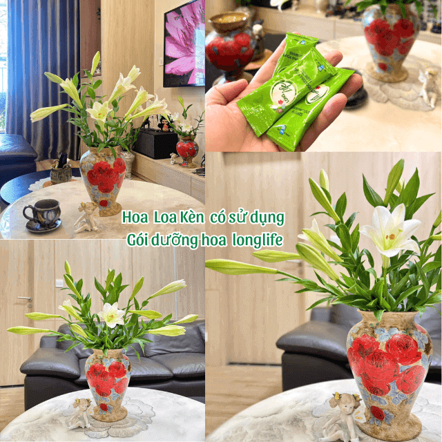 Gói Dưỡng Hoa Tươi Lâu Long Life 5gr