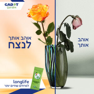 Nước Cắm Hoa Tươi Lâu Nhập Khẩu Israel (dạng bột 30 gói) hiệu Longlife (Food For CUT Flowers)