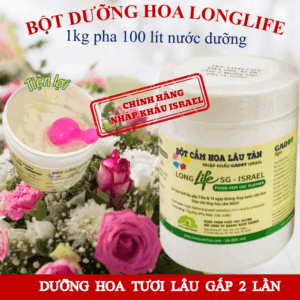 Bột Dưỡng Hoa LongLife SG Hộp 1KG Giúp Hoa Nở Đẹp Tươi Lâu Không Hôi Nước