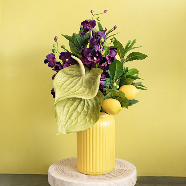 Sơn Xịt Màu Hoa Tươi Úc Vàng Chanh Yellow 2502