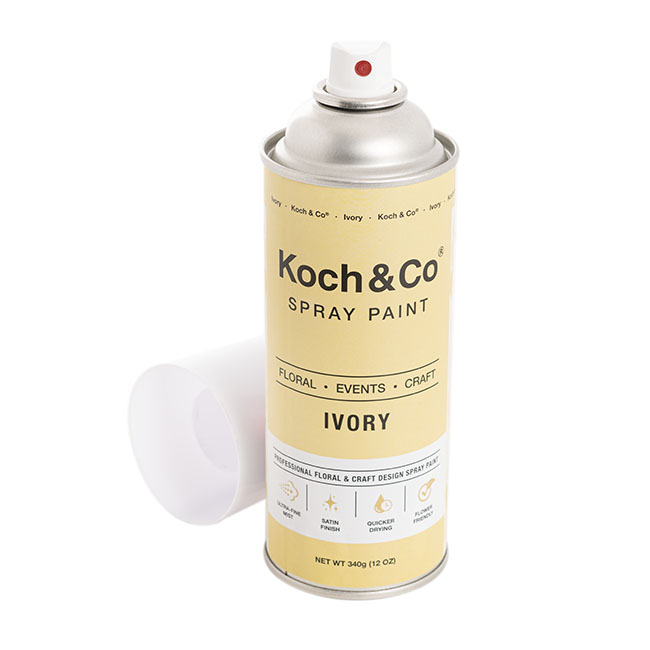 Sơn Xịt Hoa Tươi Nhập Khẩu Úc Màu Trắng Ngà Ivory 2501