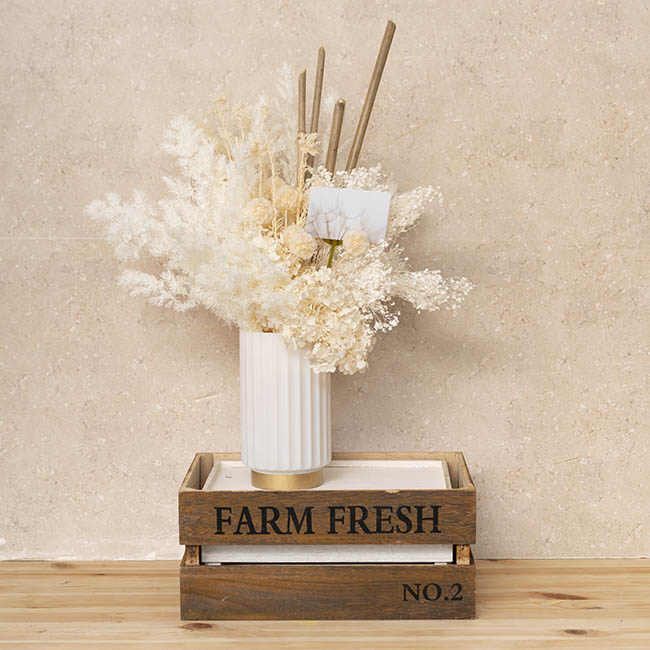 Sơn Xịt Hoa Tươi Nhập Khẩu Úc Màu Trắng Ngà Ivory 2501