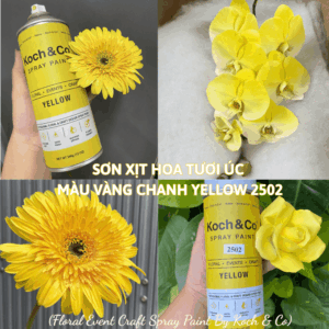 Sơn Xịt Màu Hoa Tươi Úc Vàng Chanh Yellow 2502 Koch & Co Spray Painting Fresh Flowers