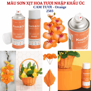 Sơn Xịt Hoa Tươi Nhập Khẩu Úc Màu Cam Tươi Orange 2503
