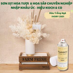 Sơn Xịt Hoa Tươi Nhập Khẩu Úc - Trắng Ngà Ivory 2501