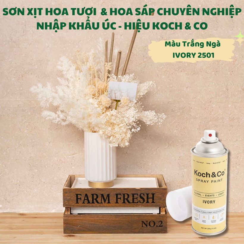 Sơn Xịt Màu Hoa Tươi Nhập Khẩu Úc- Màu Trắng Ngà Ivory 2501