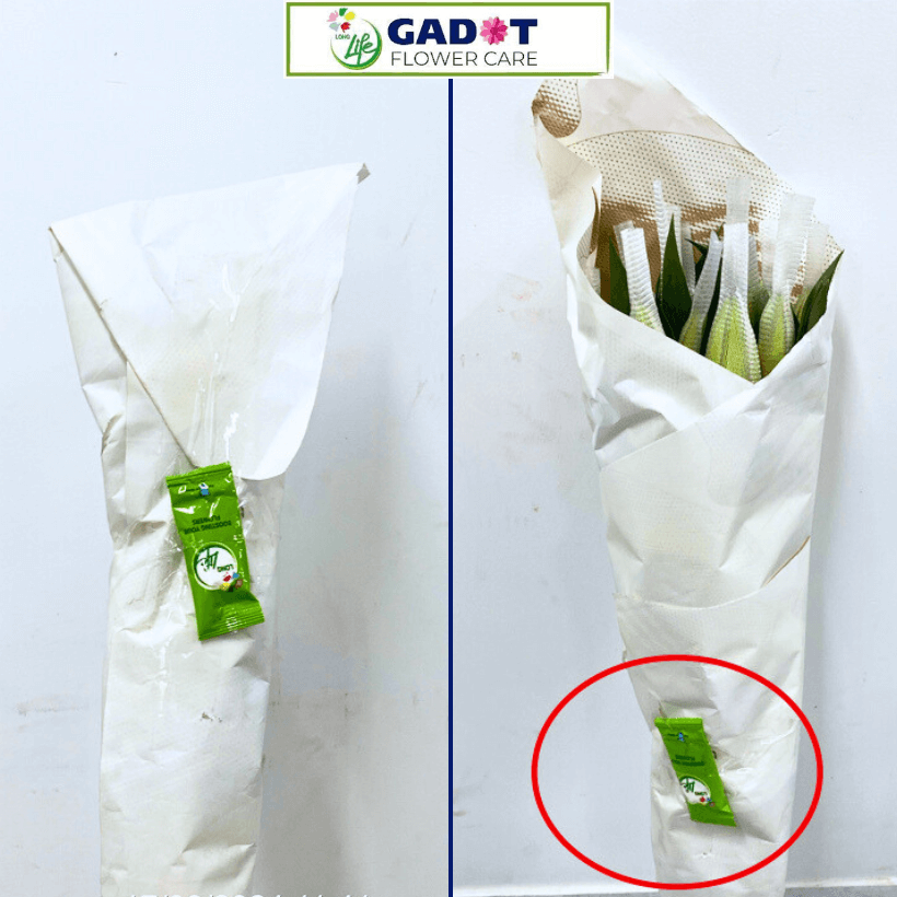 Thùng 1000 Gói Bột Dưỡng Hoa Long Life 5g