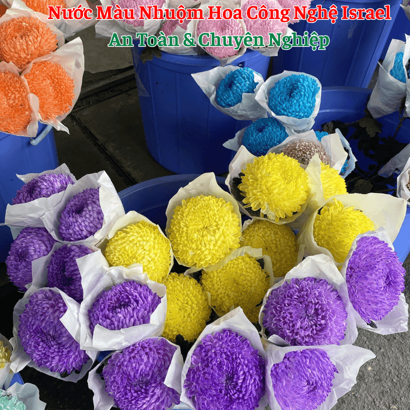 Nước Nhuộm Hoa Tươi Màu Tím Purple
