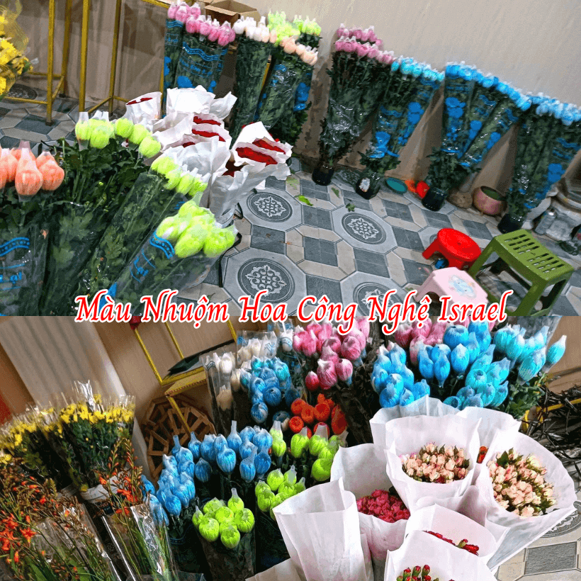 Bột Nhuộm Hoa Tươi Màu Đỏ Red