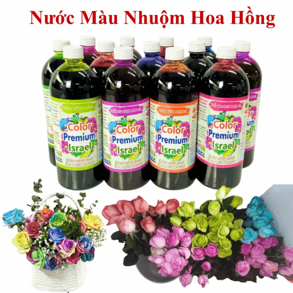 Nước Nhuộm Hoa Hồng Nhiều Màu