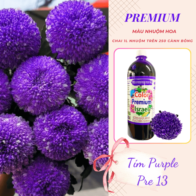 Nước Nhuộm Hoa Tươi Màu Tím Purple Pre 13
