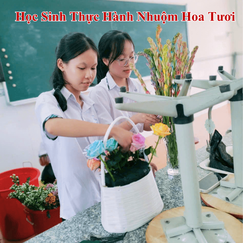 Học Sinh Thực Hành Nhuộm Hoa Tươi Đổi Màu