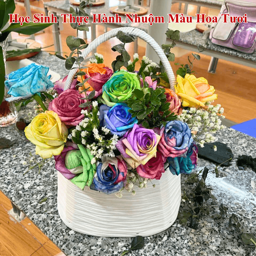 Học Sinh Thực Hành Nhuộm Hoa Hồng Đổi Màu