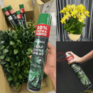 Bình Xịt Bóng Lá Nhập Khẩu Úc LEAF SHINE SPRAY Hiệu Koch & Co. Chăm Sóc Cây Cảnh, Lá Sáng Bóng Tự Nhiên