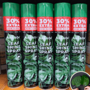 Chai Xịt Dưỡng Bóng Lá Cây LEAFSHINE 840ml Koch&Co Từ Úc. Bí Quyết Giữ Ẩm Lá Lan Hồ Điệp