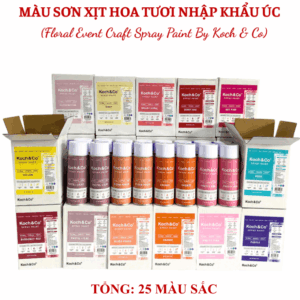 Sơn Xịt Màu Hoa Tươi Úc Koch & Co Thùng 4 Chai Gồm 25 Màu Sáng Đẹp