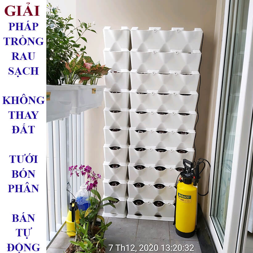 Chậu trồng rau đứng ban công Minigarden Châu Âu