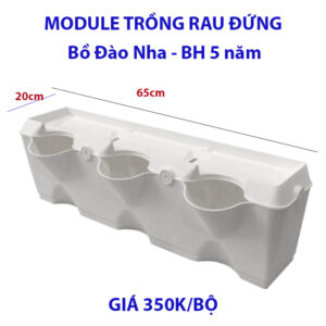 Chậu Trồng Rau Ban Công Nhà Phố Châu Âu Minigarden (1 Bộ)