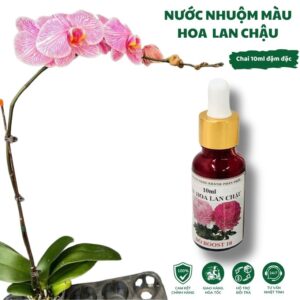 Thuốc Nhuộm Màu Hoa Lan Chậu (Dạng tiêm)
