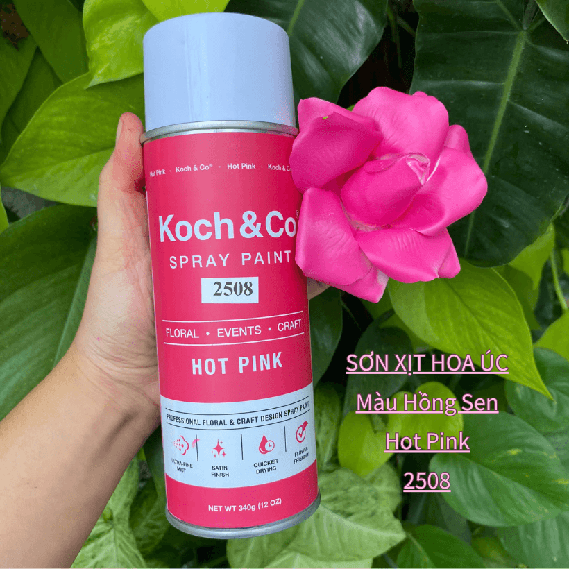 Sơn Xịt Hoa Tươi Úc Màu Hồng Sen Hot Pink