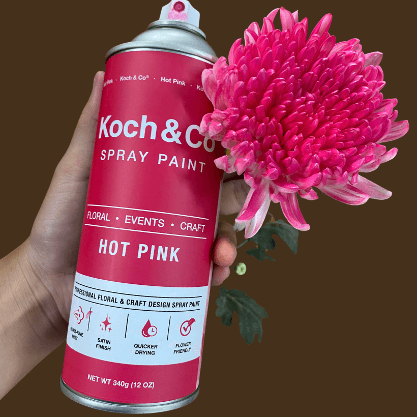 Sơn Xịt Hoa Tươi Úc Màu Hồng Sen Hot Pink