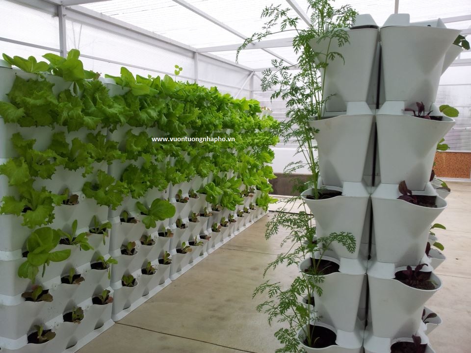 Chậu trồng rau đứng ban công Minigarden Châu Âu