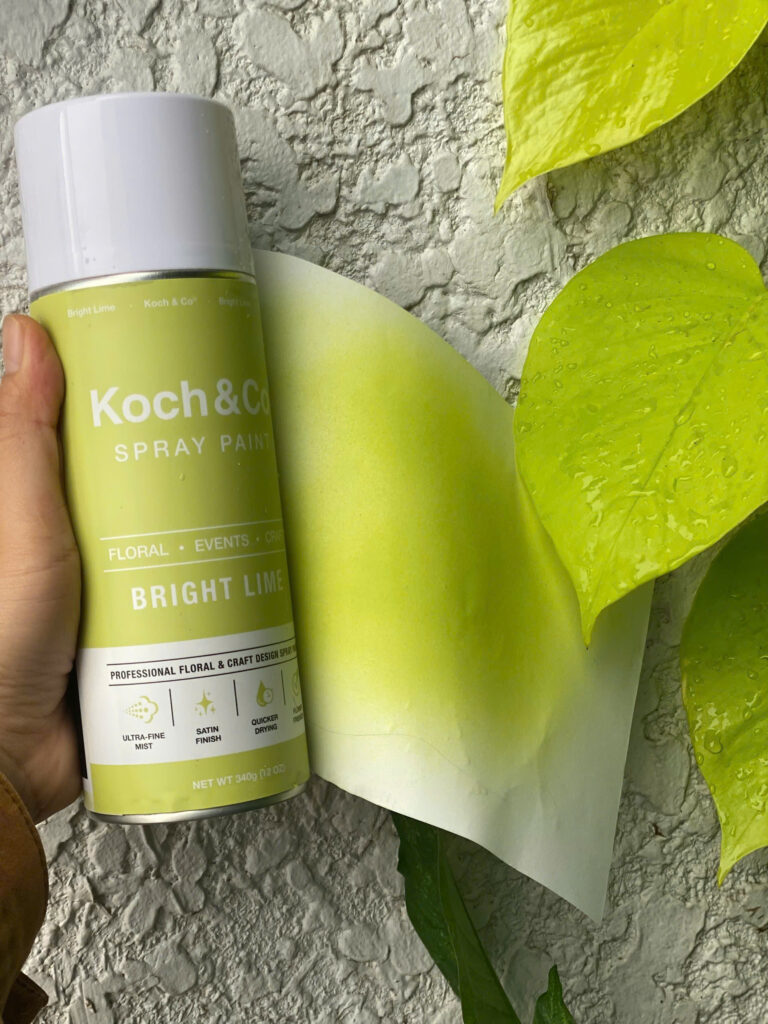 Sơn Xịt Hoa Úc Màu Xanh Cốm Lime