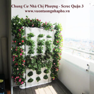 Trồng Rau Sạch Ban Công Chậu Rau Đứng Vertical 1m2