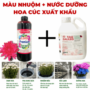 Nước Nhuộm Hoa Cúc Xuất Khẩu Hàn Quốc Tại Đơn Dương (1L đậm Đặc)