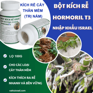 Thuốc Kích Rễ Nhập Khẩu Israel Cây Thân Mềm Hormoril T3 (Lọ 100g) có trị nấm