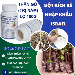 Bột Kích Ra Rễ Nhanh Cây Thân Gỗ Hormoril T6 Israel (Lọ 100g) giúp kích thích cây ra rễ nhanh, khỏe