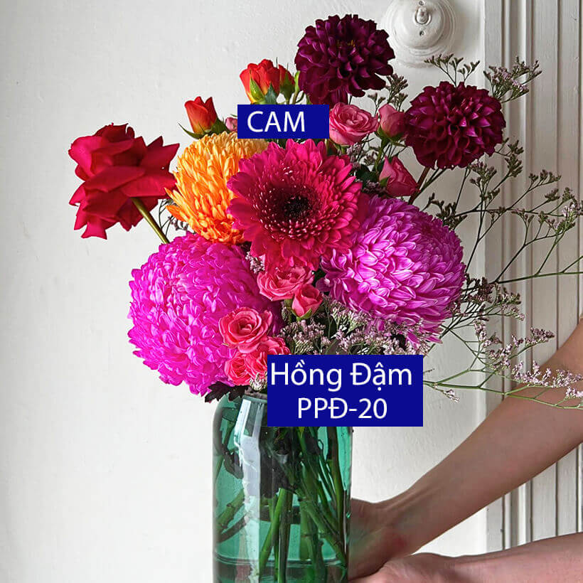 Bột Nhuộm Hoa Tươi Màu Hồng Sen