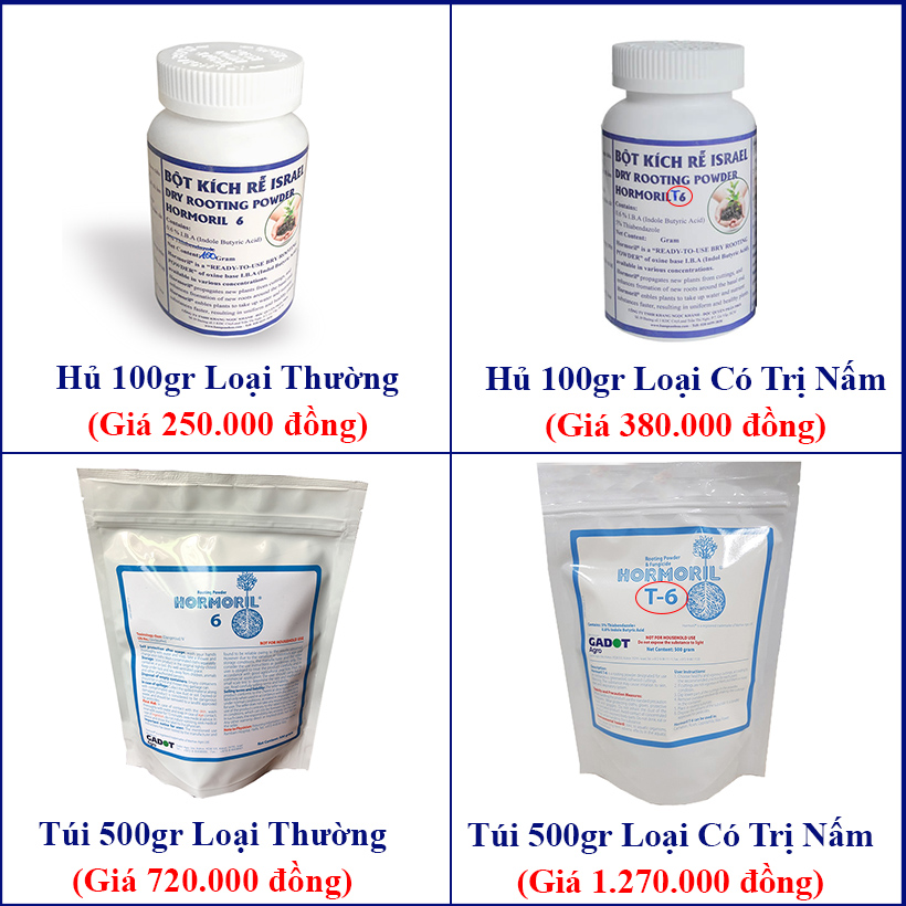 Bột Kích Rễ Cây Thân Gỗ Hormoril T6 Israel