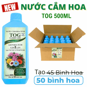 Nước Cắm Hoa Tươi Giá Rẻ (Chai 500ml) TOG dùng 50 bình hoa