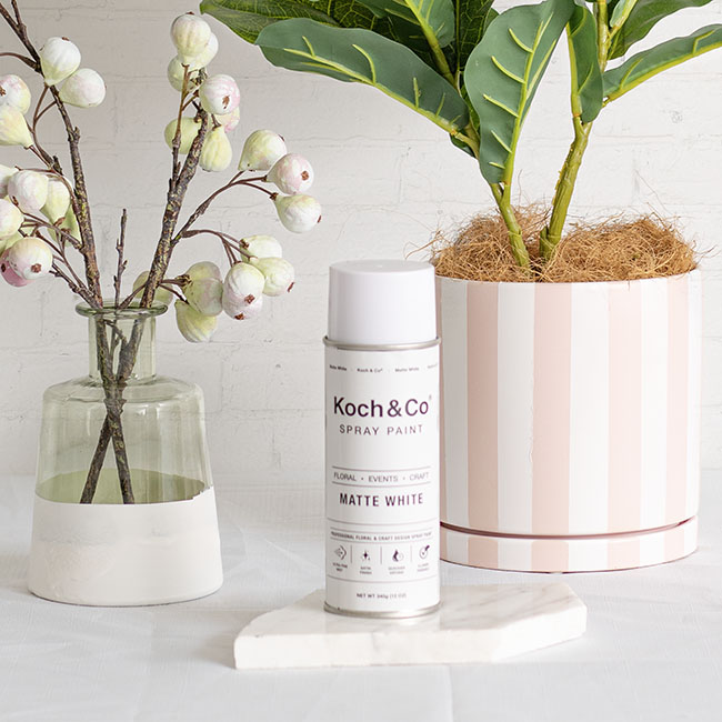 Sơn Xịt Hoa Tươi Úc Màu Trắng Mờ Matte White 2524