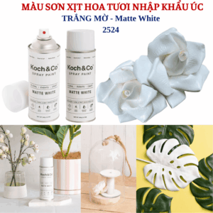 Sơn Xịt Hoa Úc Màu Trắng MatKoch & Co Spray Paint Trang Trí Hoa Cho Florist