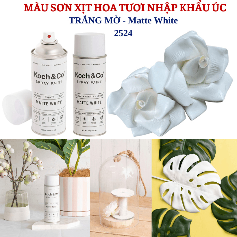 Sơn Xịt Hoa Tươi Úc Màu Trắng Mờ Matte White 2524