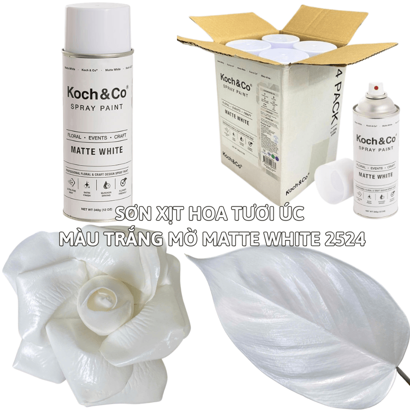 Sơn Xịt Hoa Tươi Úc Màu Trắng Mờ Matte White 2524
