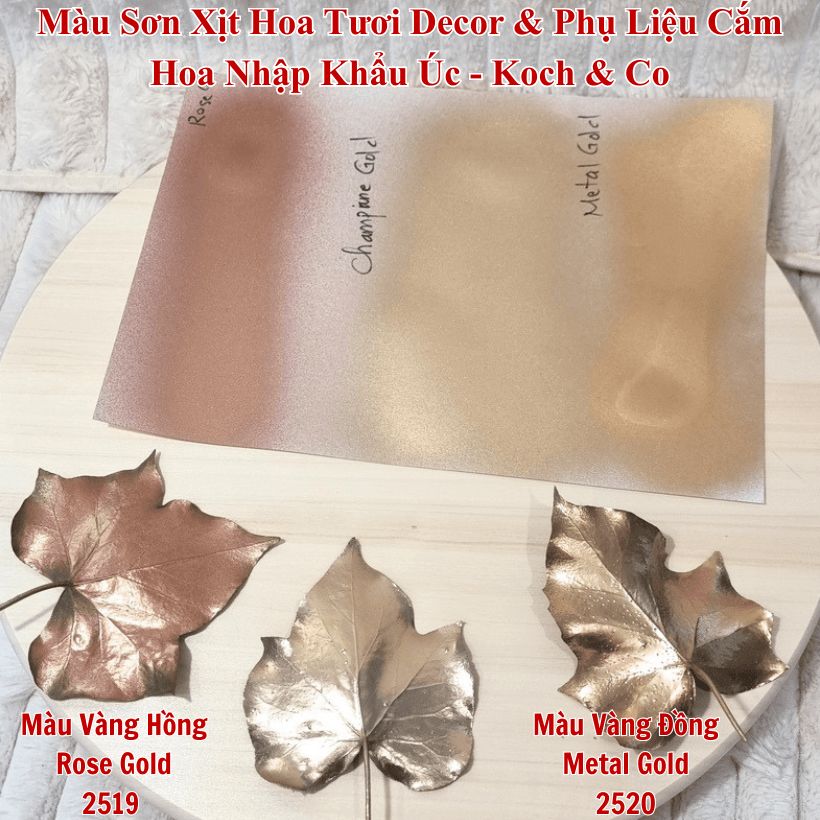 Sơn Xịt Đổi Màu Hoa Tươi Koch Co Úc