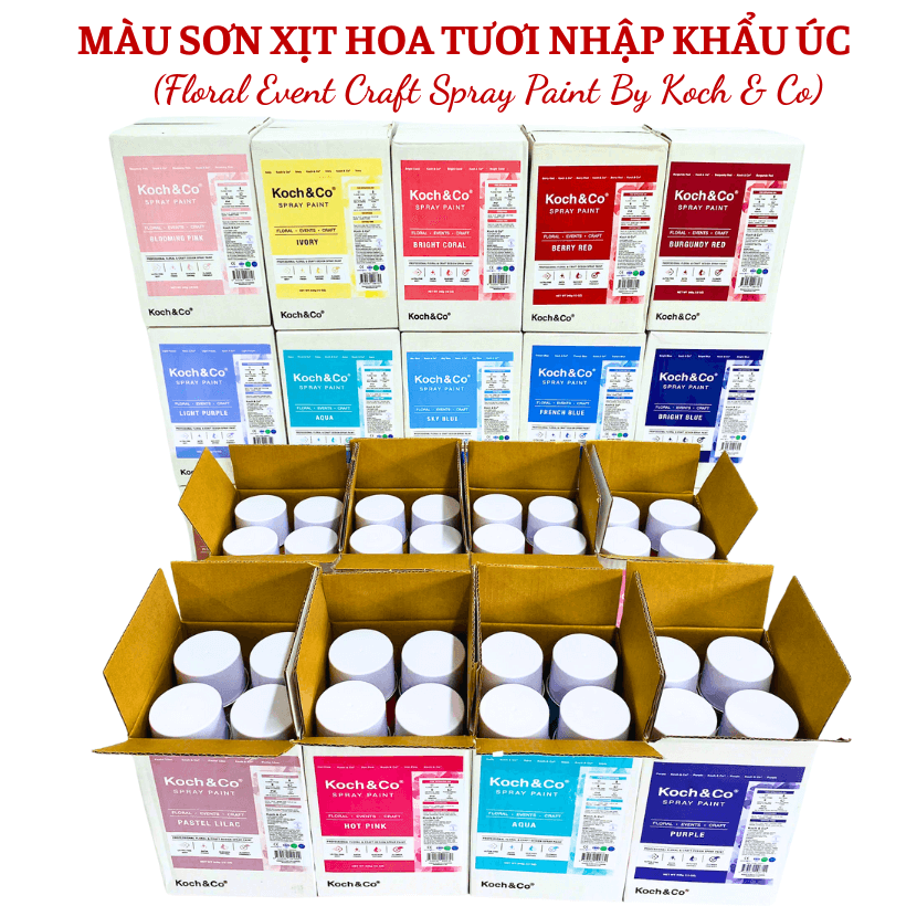Sơn Xịt Hoa Tươi Úc Màu Trắng Mờ Matte White 2524