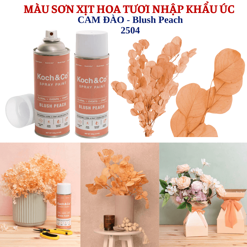 Sơn Xịt Màu Cam Đào Thanh Lịch Phù Hợp Trang Trí Tiệc & Sự Kiện