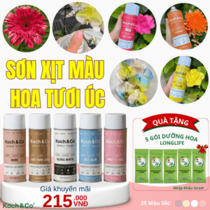 Sơn Xịt Đổi Màu Hoa Tươi Koch Co (Úc) Tặng 5 Gói Dưỡng Hoa Long Life