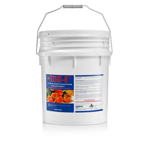 Thuốc Rữa Hoa Tươi TOG 6 là chế phẩm "Tiền" xử lý hoa quan trọng