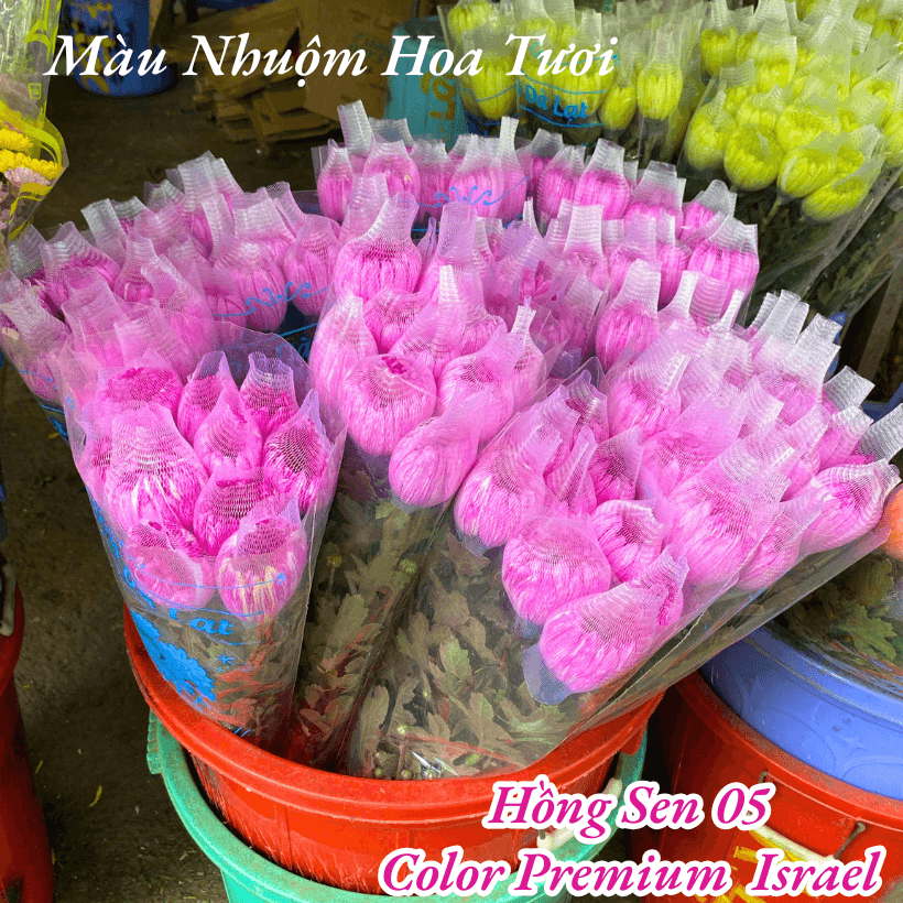 Bột Nhuộm Hoa Tươi Màu Hồng Sen