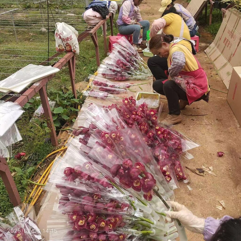 Ống Típ Nhựa Chứa Nước Cắm Hoa