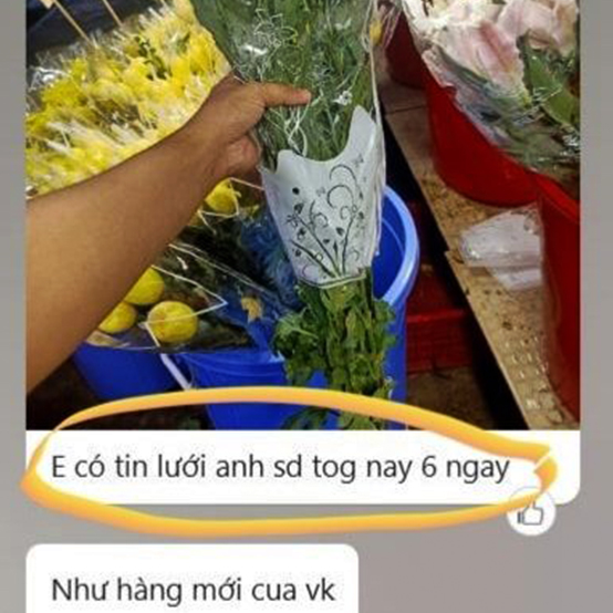 Nước Dưỡng Hoa TOG Galileo Nhập Khẩu Israel